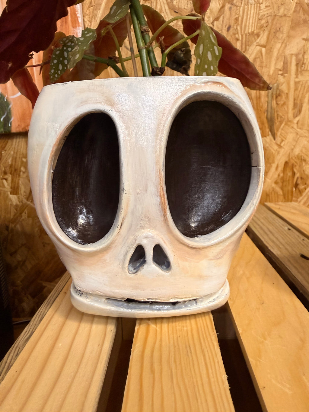 Grow your Mind Planter