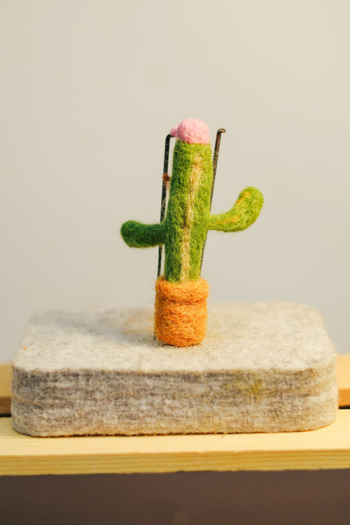 Carl the Cacti
