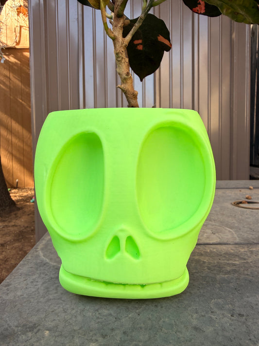 Glow Your Mind Planter