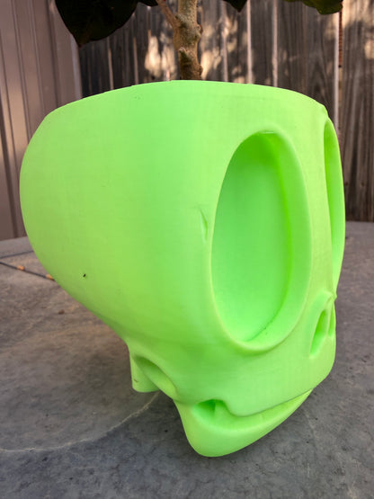 Glow Your Mind Planter