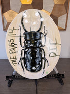 The Bugs All Die