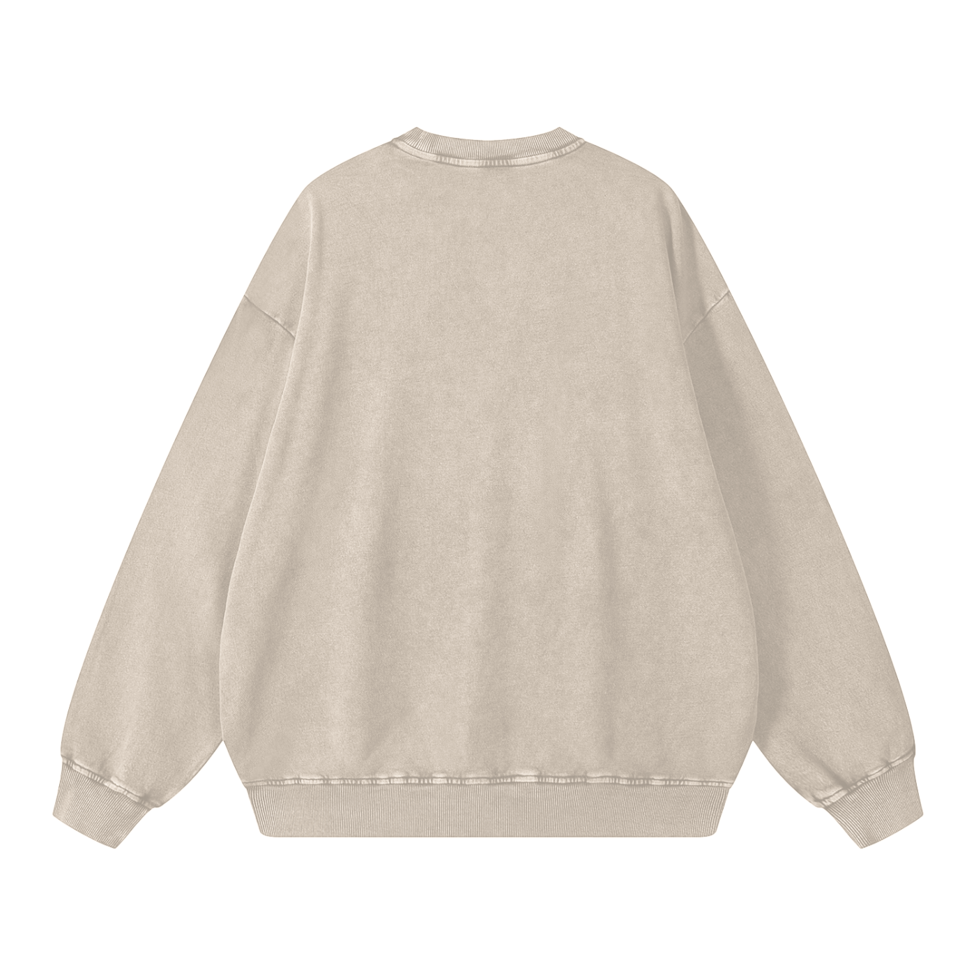 The Bugs Snow Washed Oversized Sweatshirt